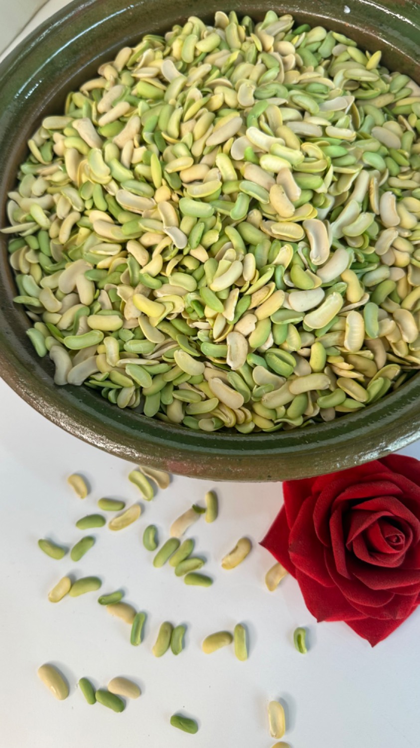 باقالای تازه باقالی قاتق